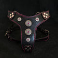 The ''Bijou'' harness Black & Pink Small to Medium Size by Bestia Dog Gear