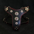 The ''Bijou'' harness Black & Red Small to Medium Size by Bestia Dog Gear