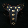 ''Bijou'' harness Black & Orange for big dogs by Bestia Dog Gear
