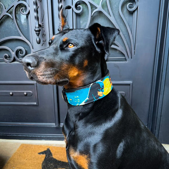 The BCW Limited Collar by Bestia Dog Gear