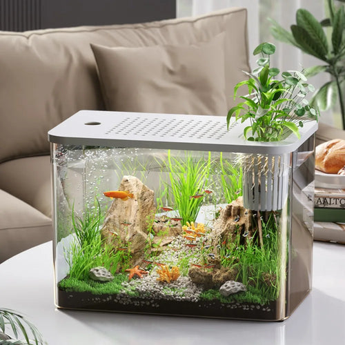 ABS Fish Tank Transparent with Lid by Love My Pet