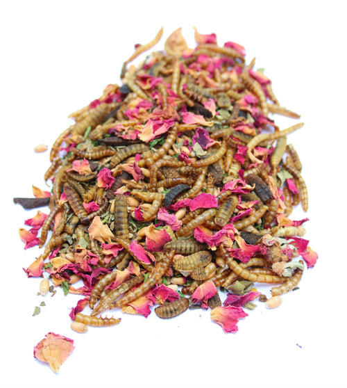 BEE A Beautiful Hen Herbal Treat With Mealworms, Wheat, & Rose Petals For Chickens by Dahlia Pets