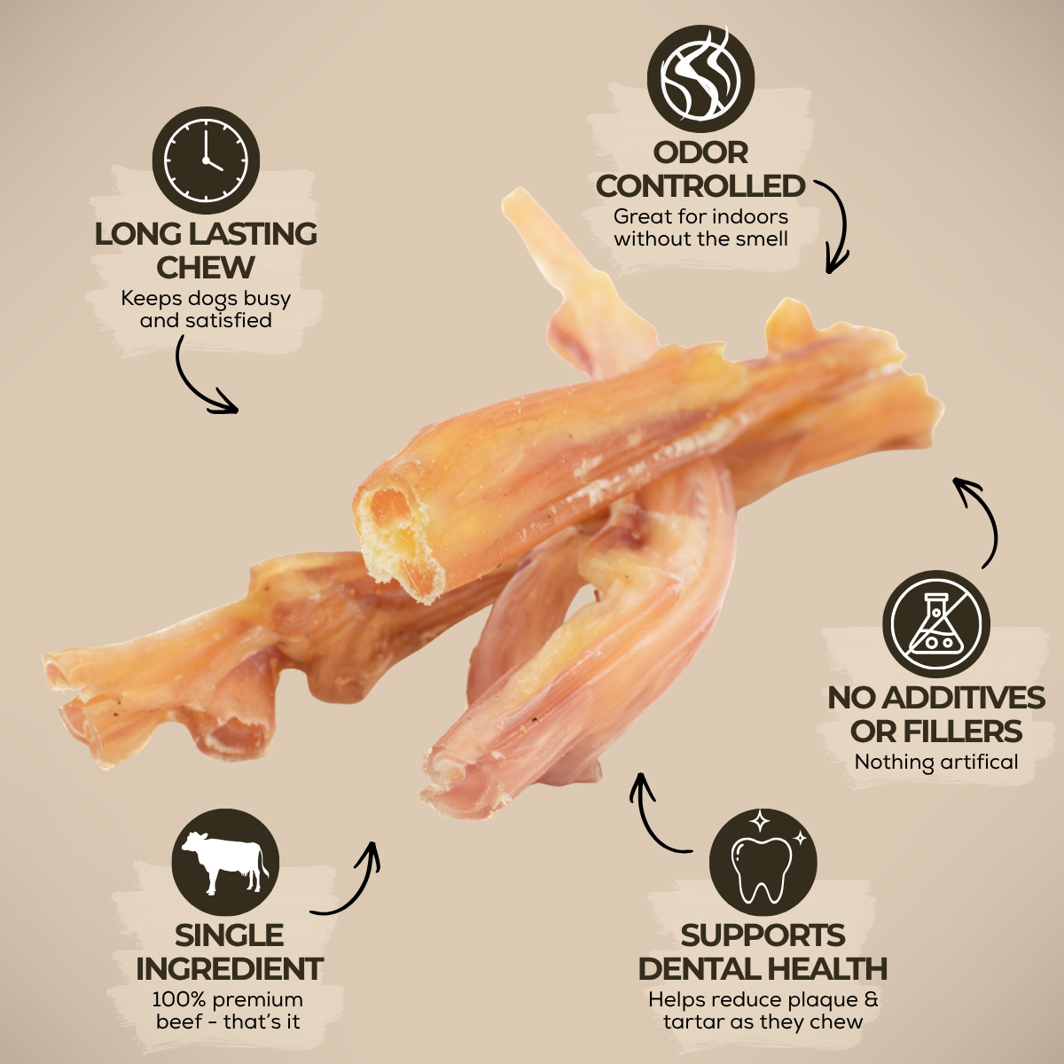 Beef Tendon by Bully Bunches
