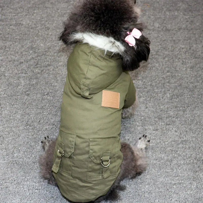 Winter Pet jacket and Faux Fur Collar by Love My Pet
