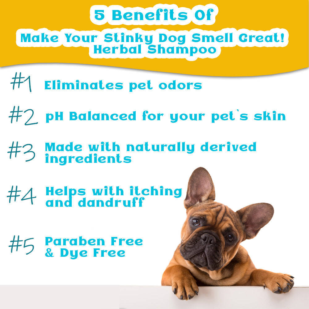 Make Your Stinky Dog Smell Great! Herbal Shampoo For Dogs (8 ounces) by Dahlia Pets