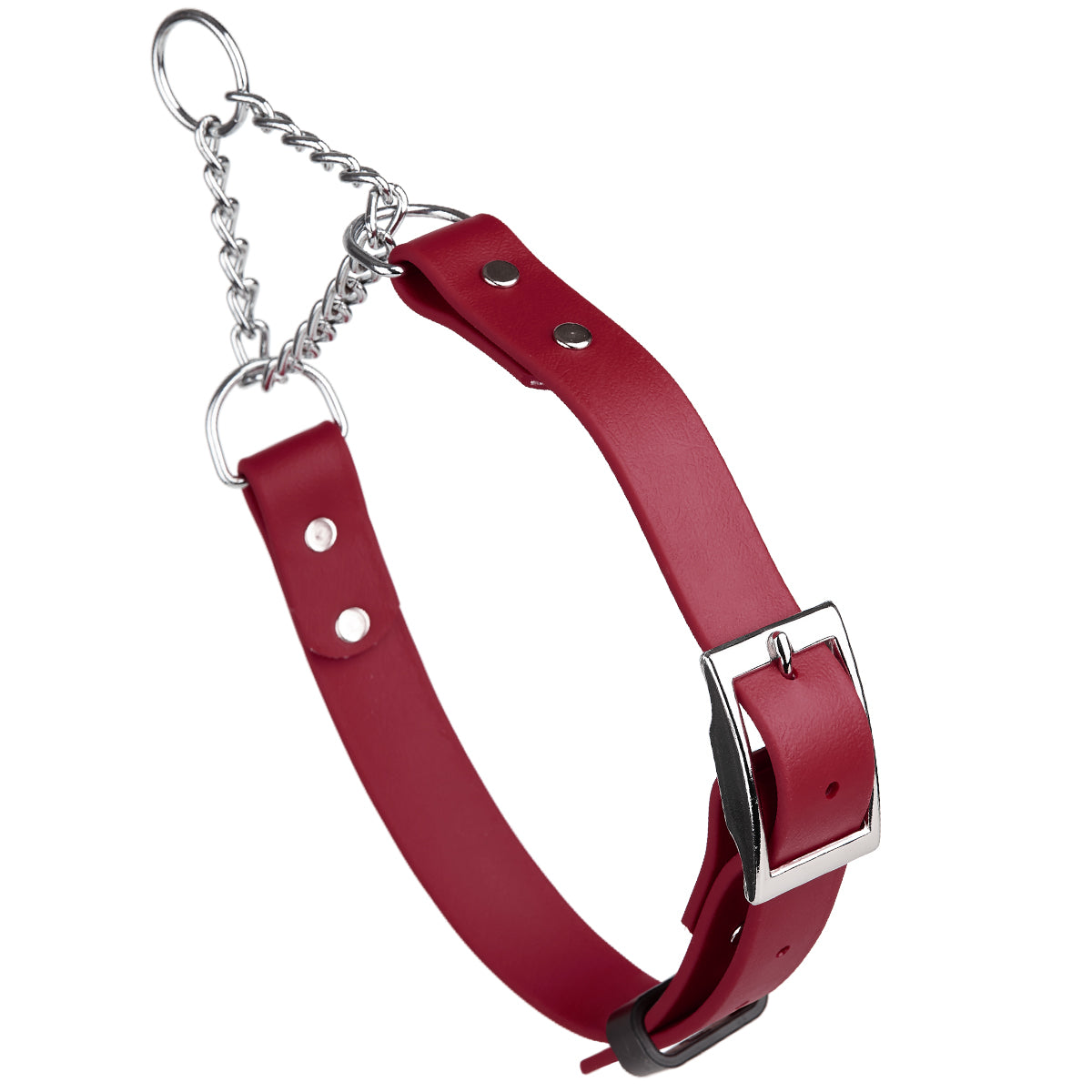 Biothane Adjustable Martingale Collar with Metal Buckle by Dogline