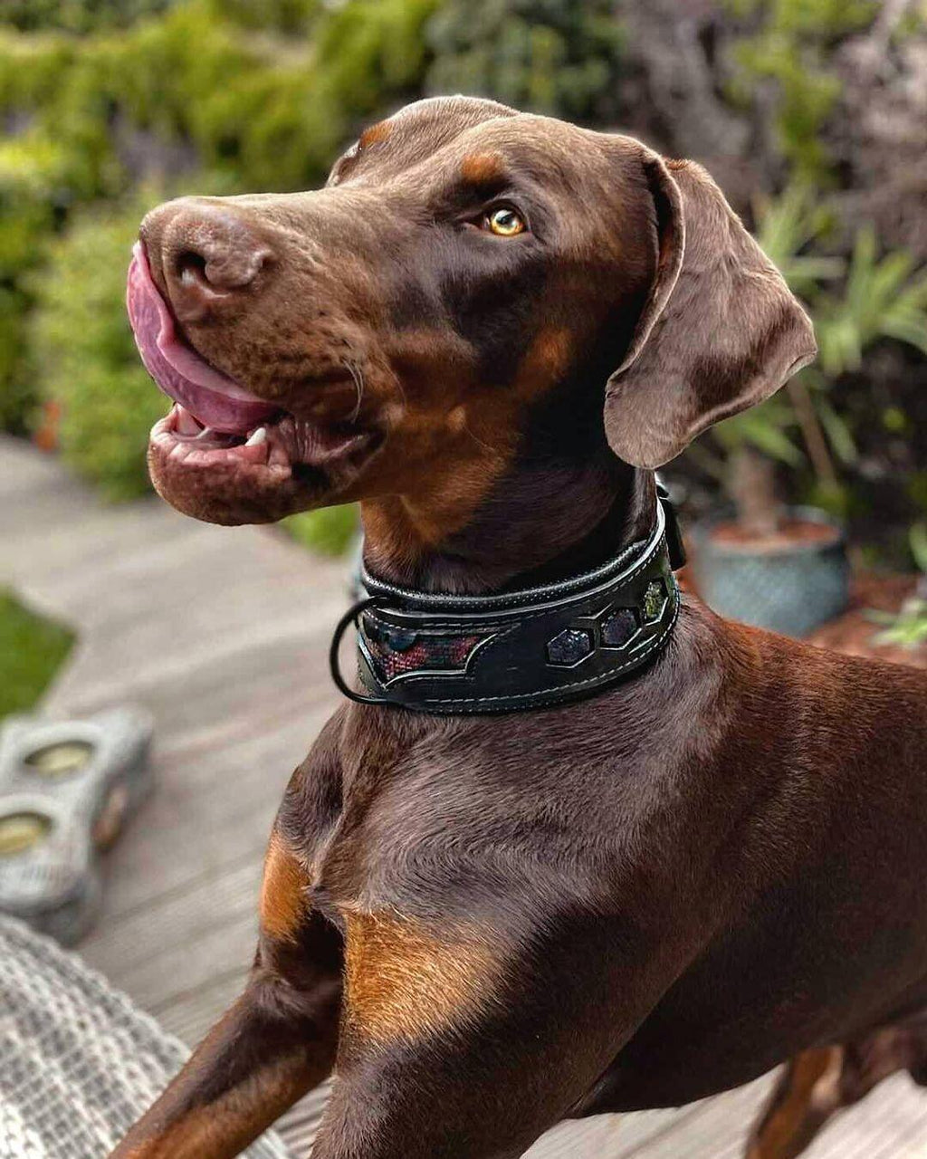 ''BATMAN'' collar by Bestia Dog Gear