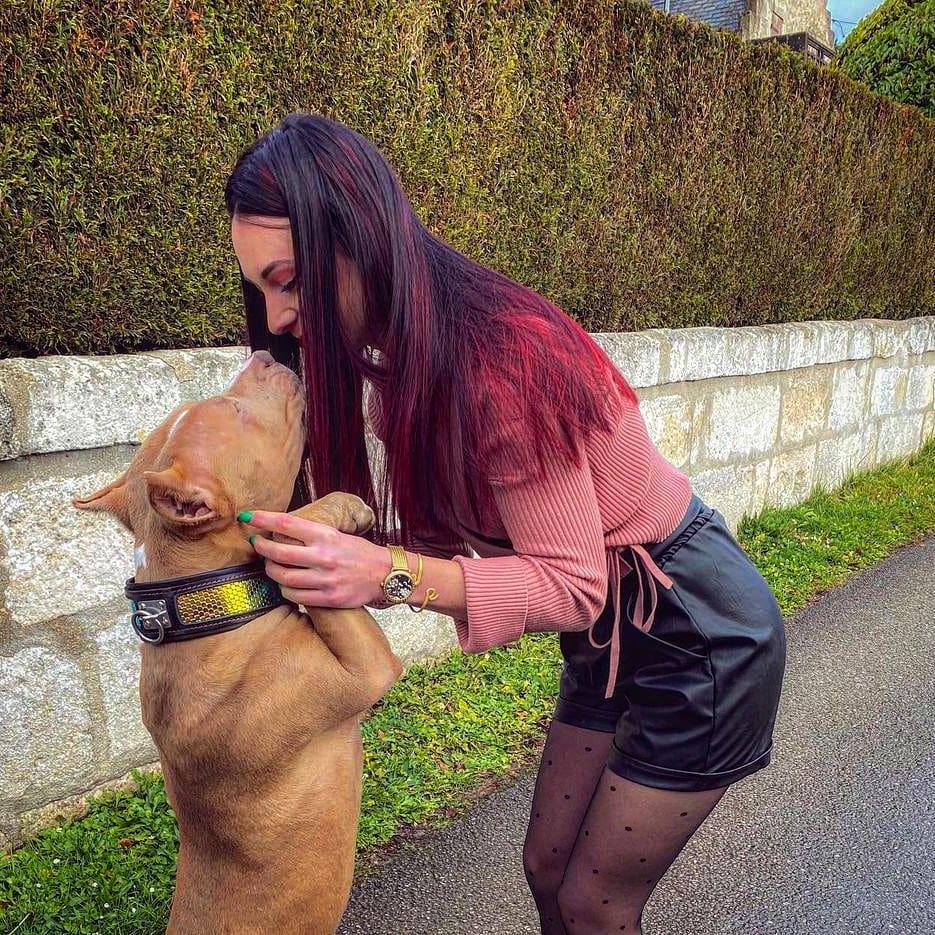 The ''D`Albertis'' collar by Bestia Dog Gear