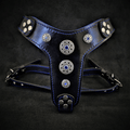 The ''Bijou'' harness Black & Blue Small to Medium Size by Bestia Dog Gear