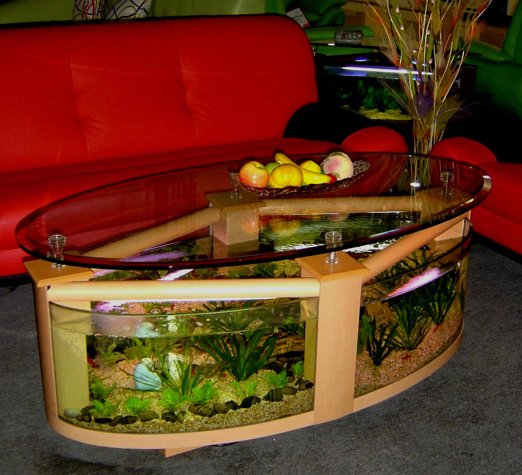 WARRANTY INCLUDED! 60 gallon GLASS oval round table aquarium fish tank setup by Northeast Aquariums LLC