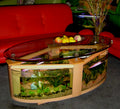 WARRANTY INCLUDED! 60 gallon GLASS oval round table aquarium fish tank setup by Northeast Aquariums LLC