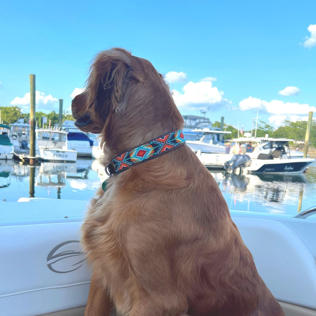 Biarritz Sambboho dog collar by Sambboho