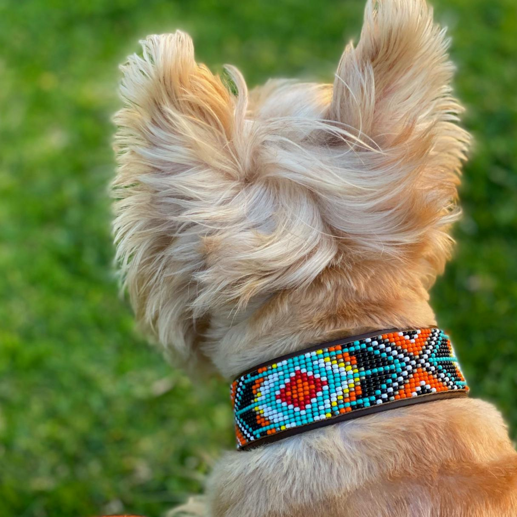Biarritz Sambboho dog collar by Sambboho