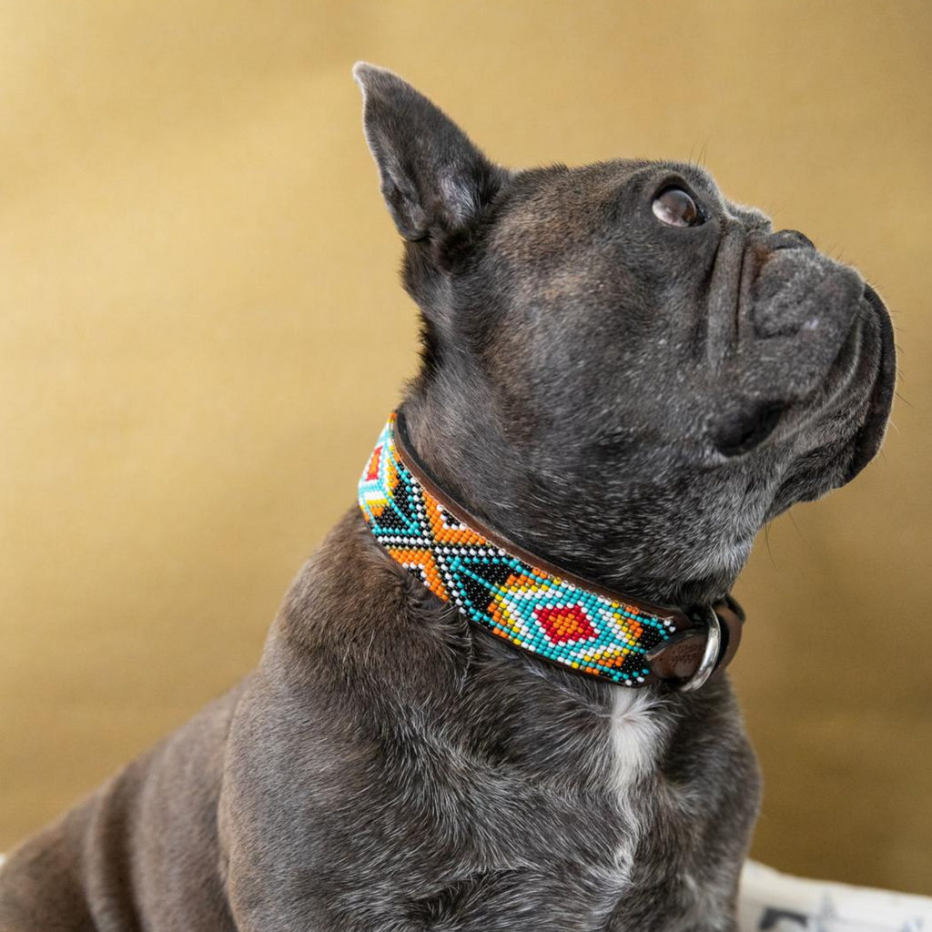 Biarritz Sambboho dog collar by Sambboho