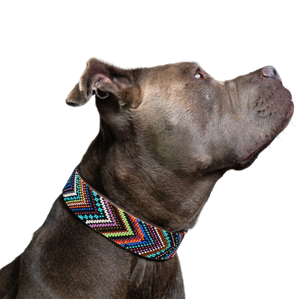 Bixie Sambboho dog collar by Sambboho