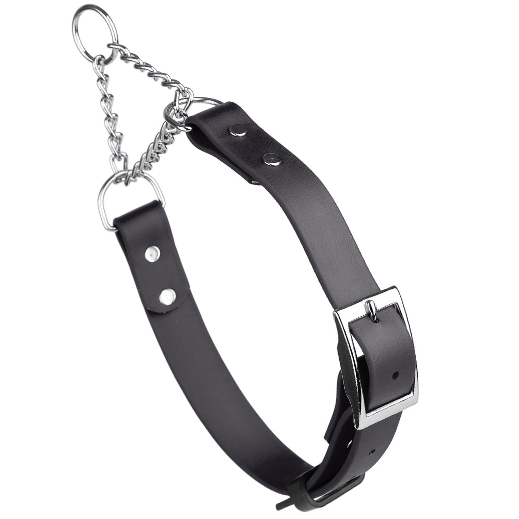 Biothane Adjustable Martingale Collar with Metal Buckle by Dogline