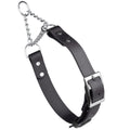 Biothane Adjustable Martingale Collar with Metal Buckle by Dogline