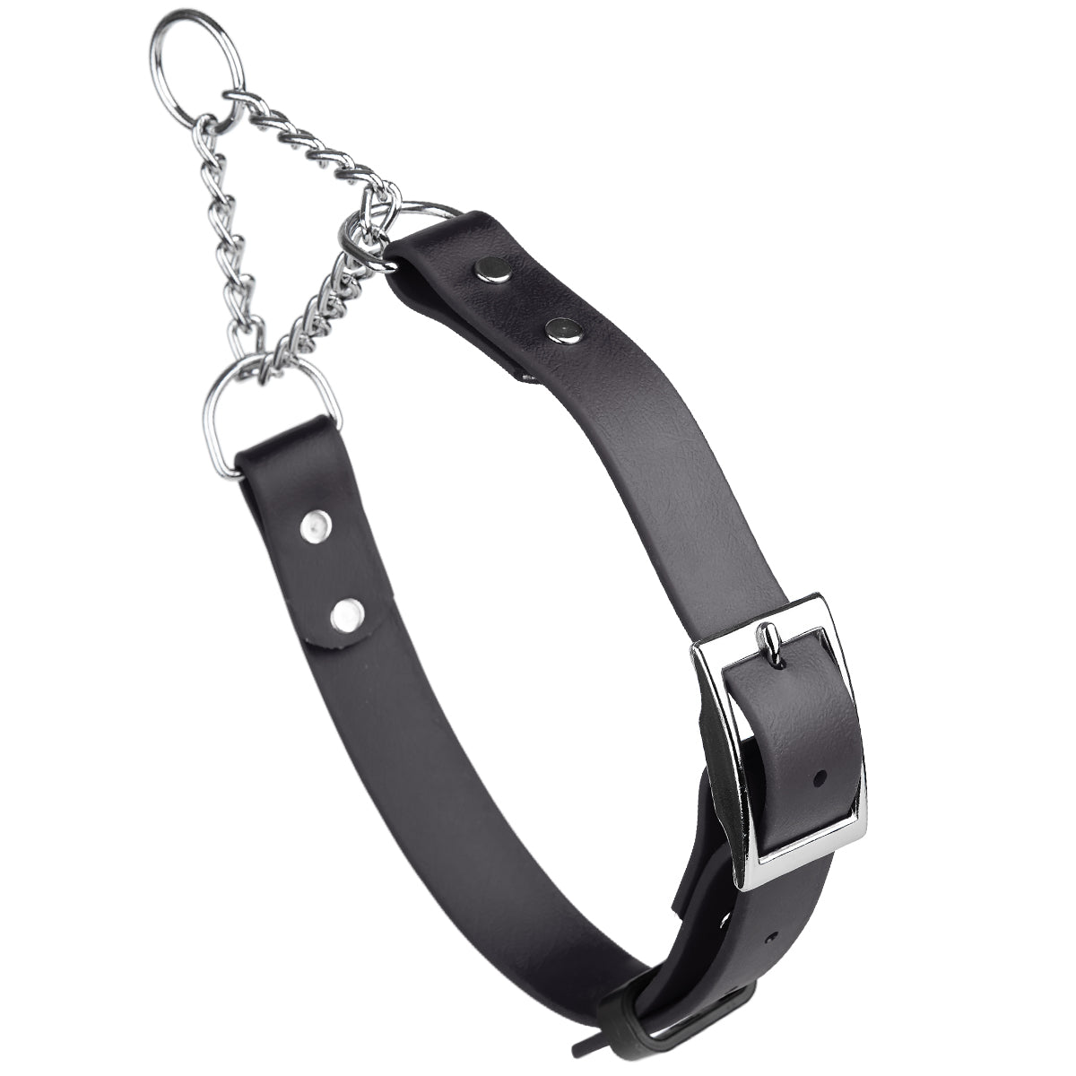 Biothane Adjustable Martingale Collar with Metal Buckle by Dogline