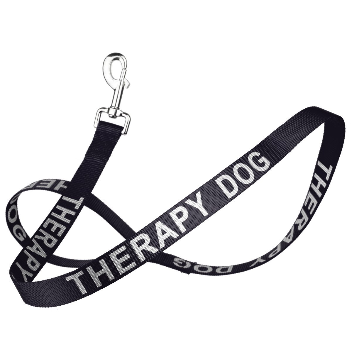 Reflective Nylon Dog Leash by Dogline