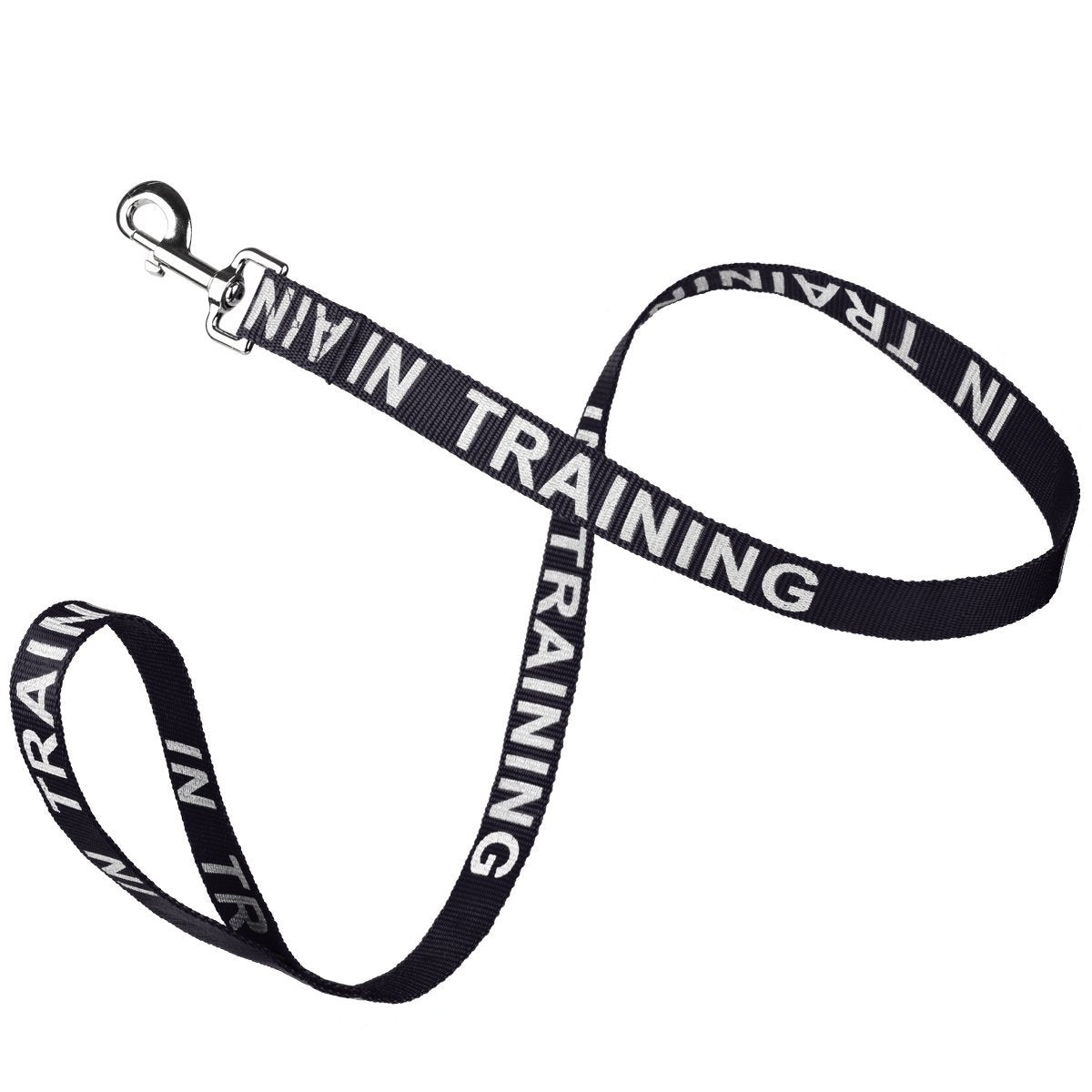 Reflective Nylon Dog Leash by Dogline