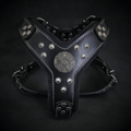 The ''Maximus'' harness black & silver Small to Medium Size by Bestia Dog Gear