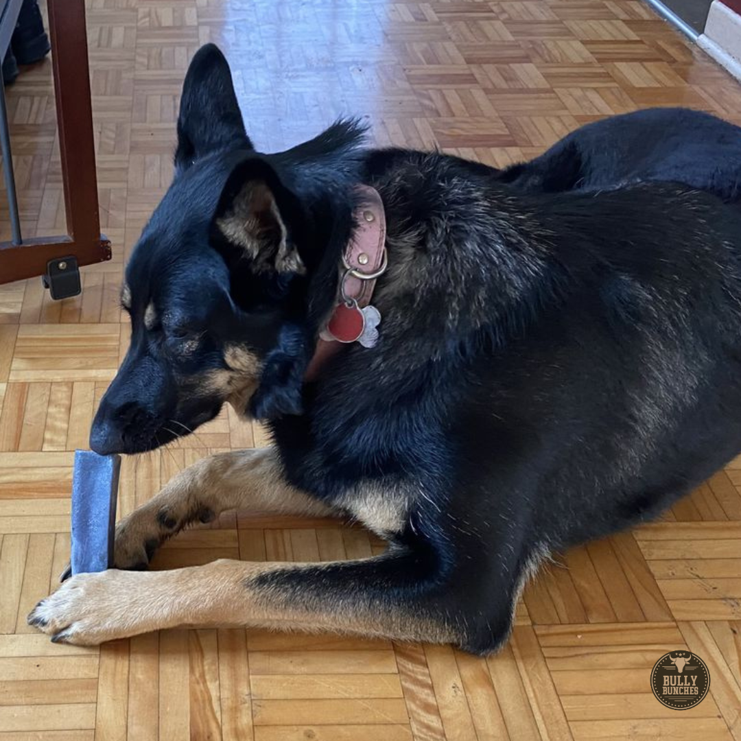 Blueberry Himalayan Yak Chew (MEDIUM) by Bully Bunches