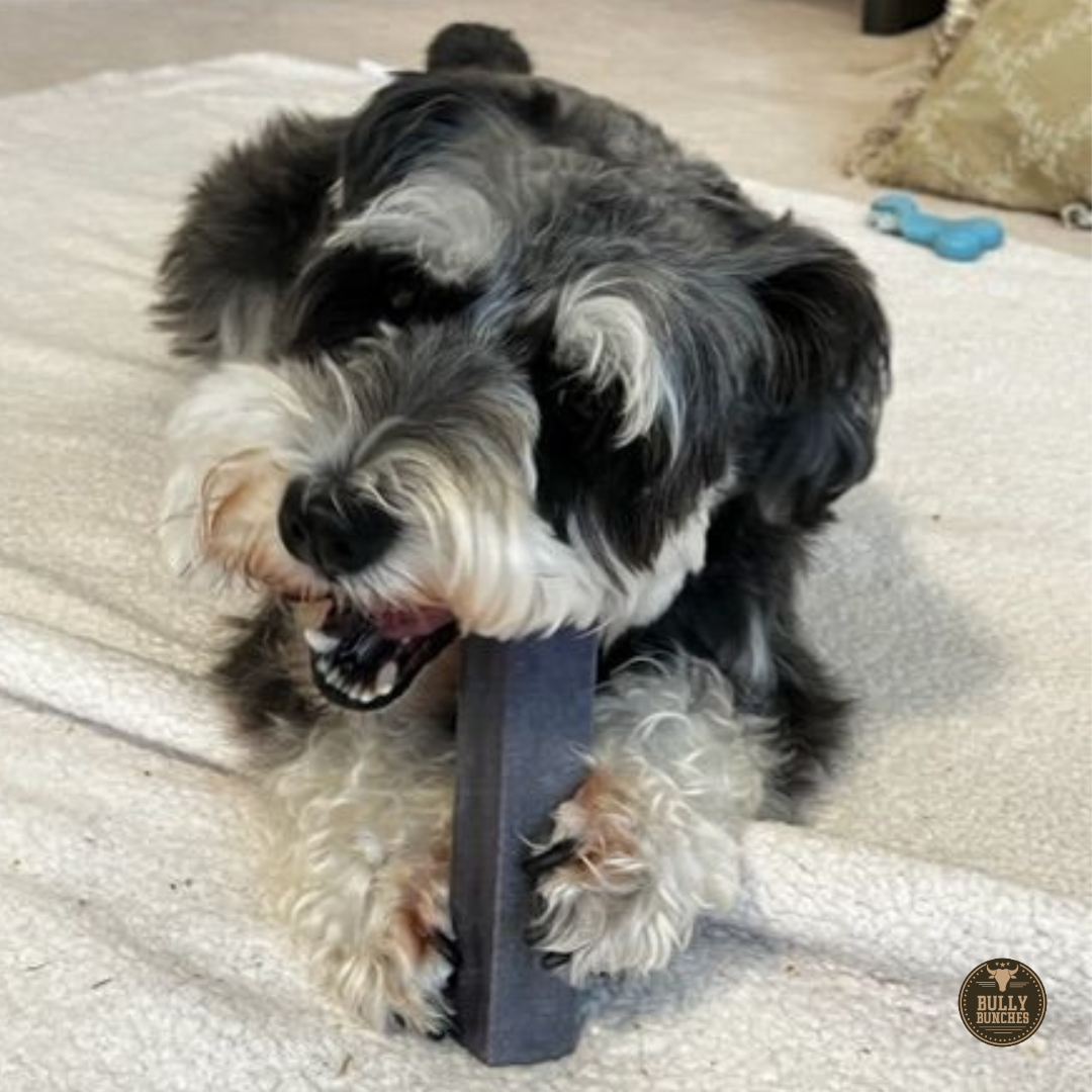 Blueberry Himalayan Yak Chew (MEDIUM) by Bully Bunches