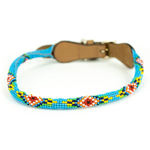 Blue Vogue Sambboho dog collar (rolled) by Sambboho