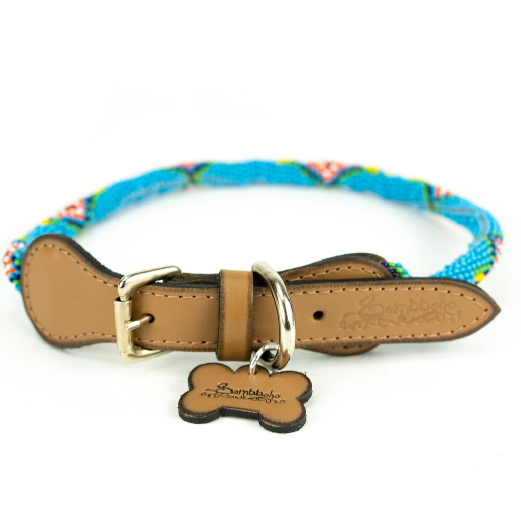 Blue Vogue Sambboho dog collar (rolled) by Sambboho