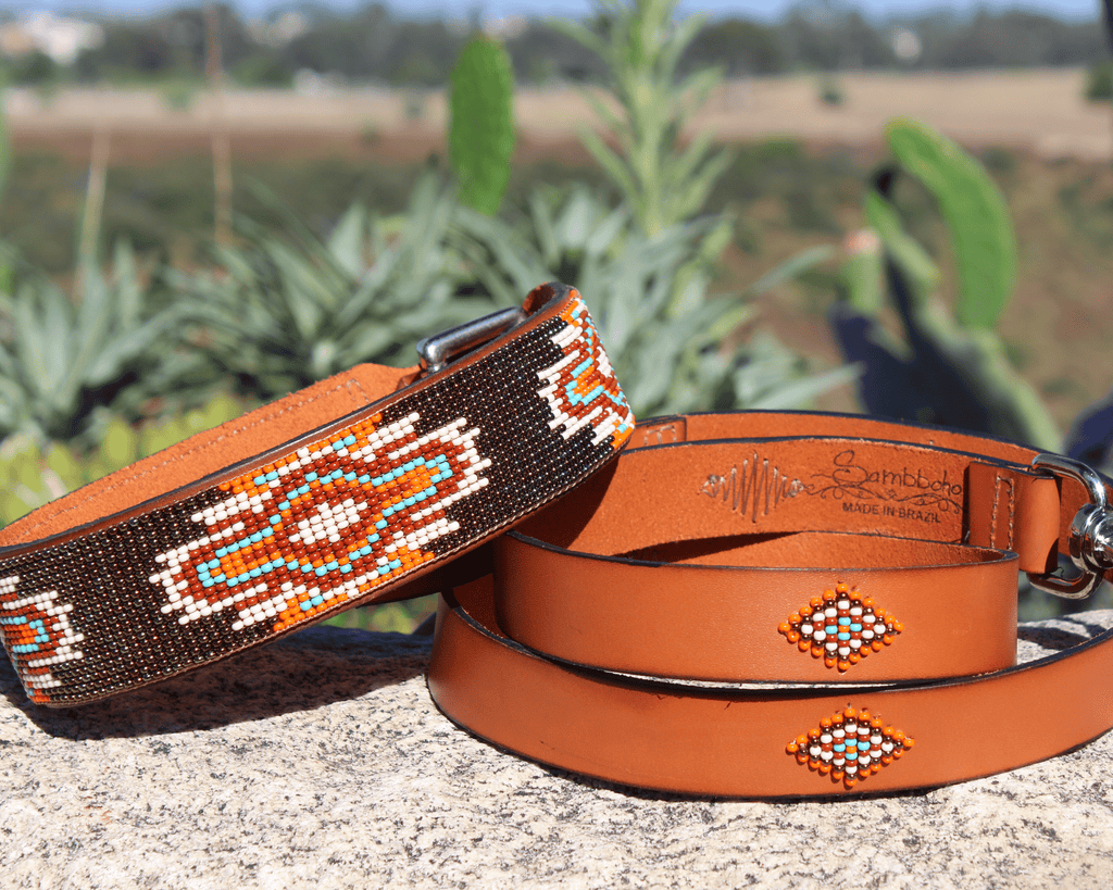 Matching leash/dog collar Boho Chic Sambboho Bundle by Sambboho
