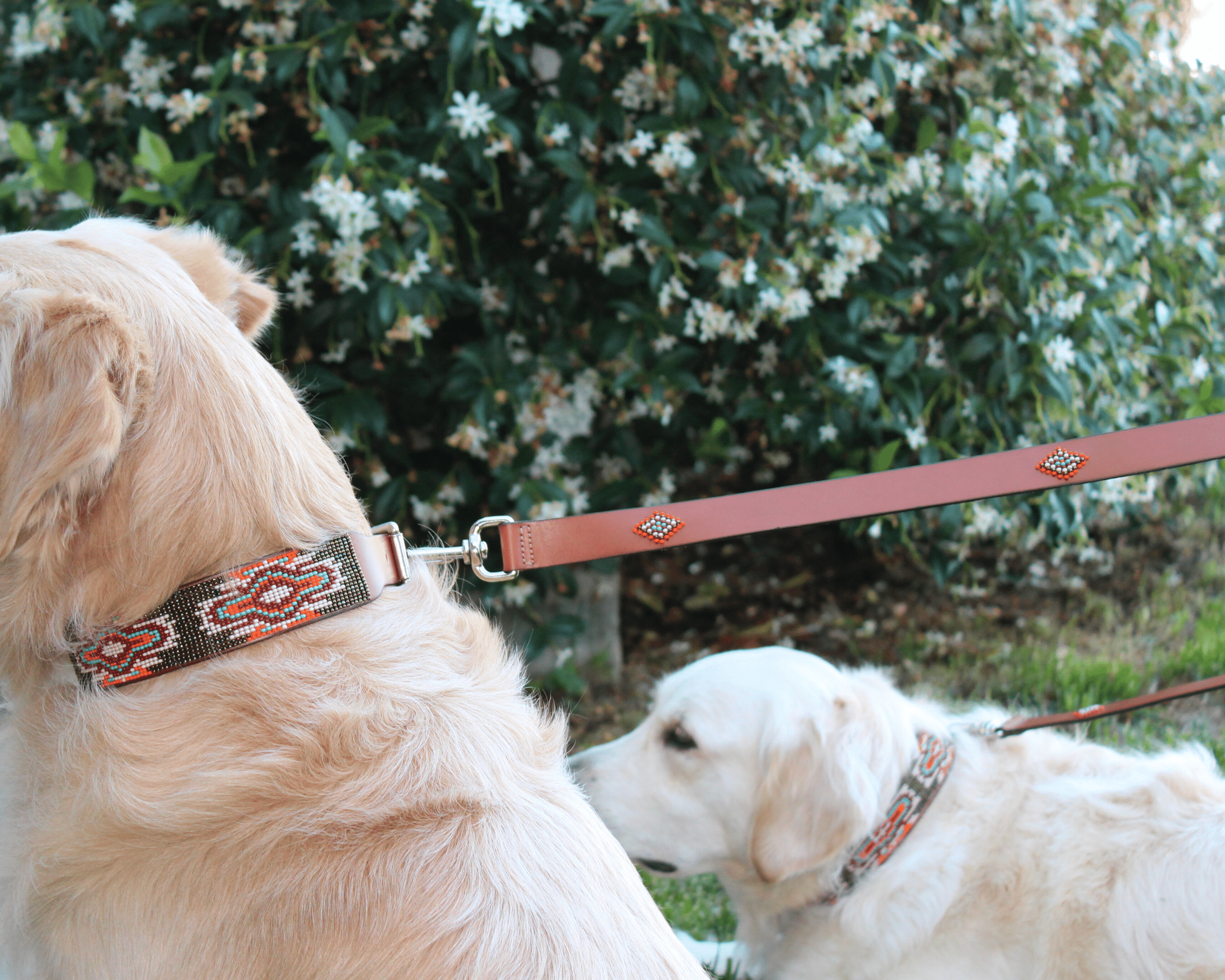 Matching leash/dog collar Boho Chic Sambboho Bundle by Sambboho