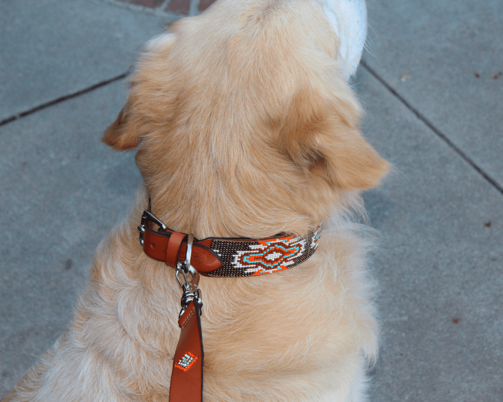 Matching leash/dog collar Boho Chic Sambboho Bundle by Sambboho