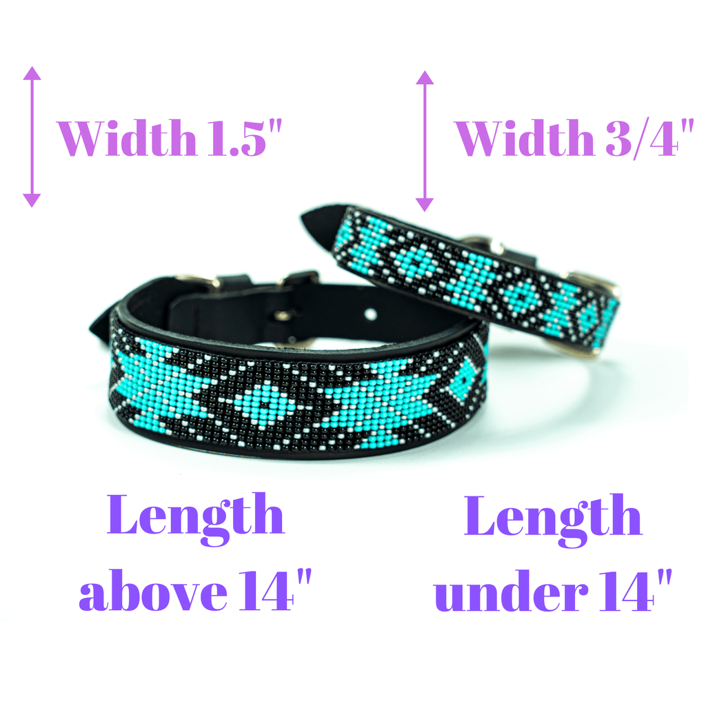 Matching leash/dog collar Saint Barth Sambboho Bundle by Sambboho
