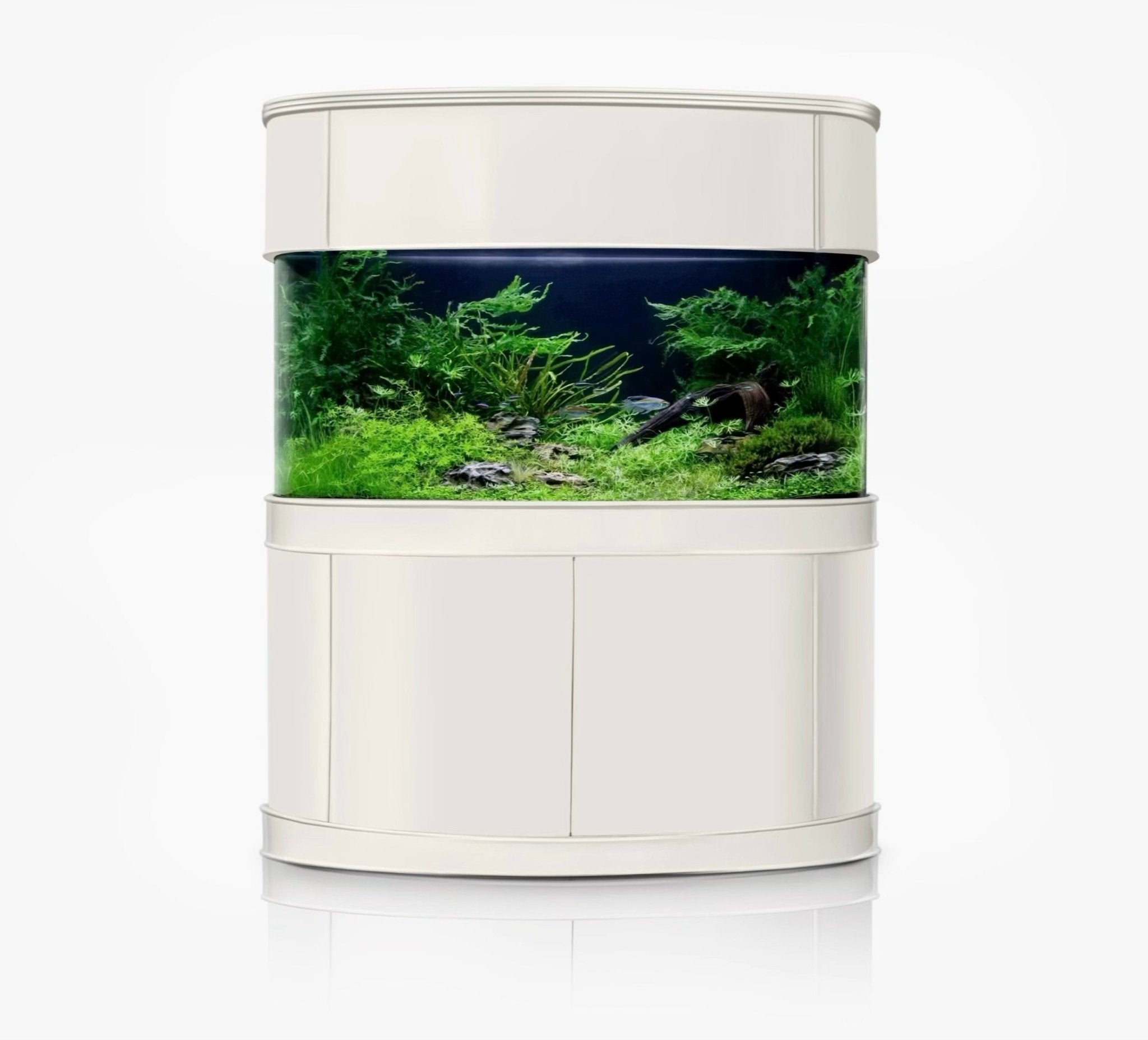 Glass Bowfront by AQUA VIM