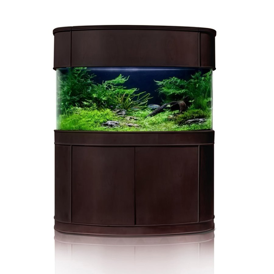 Glass Bowfront by AQUA VIM
