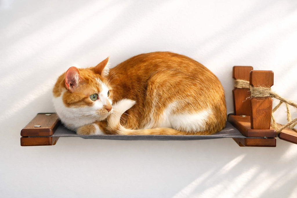 Double Cat Hammock and Climbing Bridge Combo by Catastrophic Creations