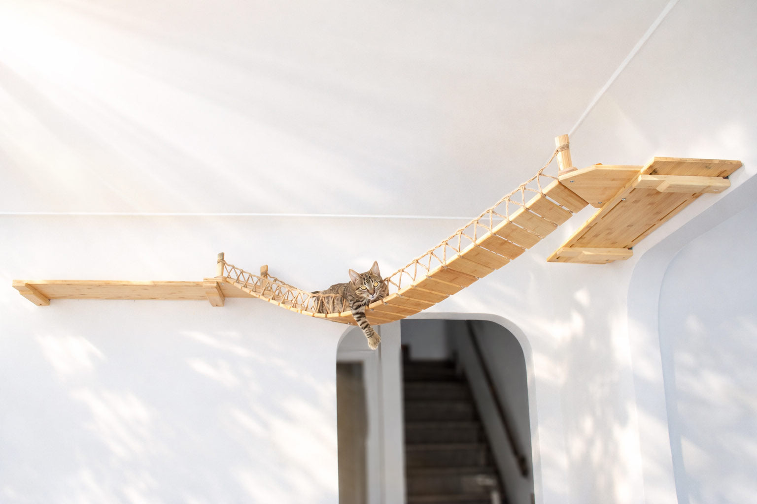 Corner Cat Shelf Bridge