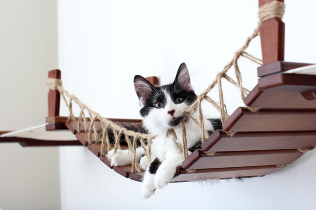 Double Cat Hammock and Climbing Bridge Combo