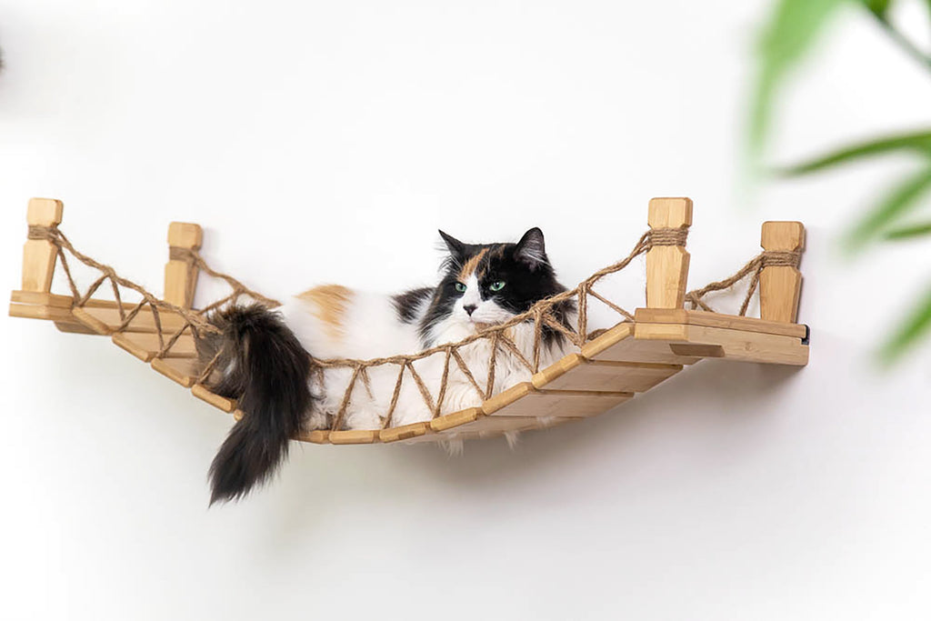 Cat Bridge for Wall by Catastrophic Creations
