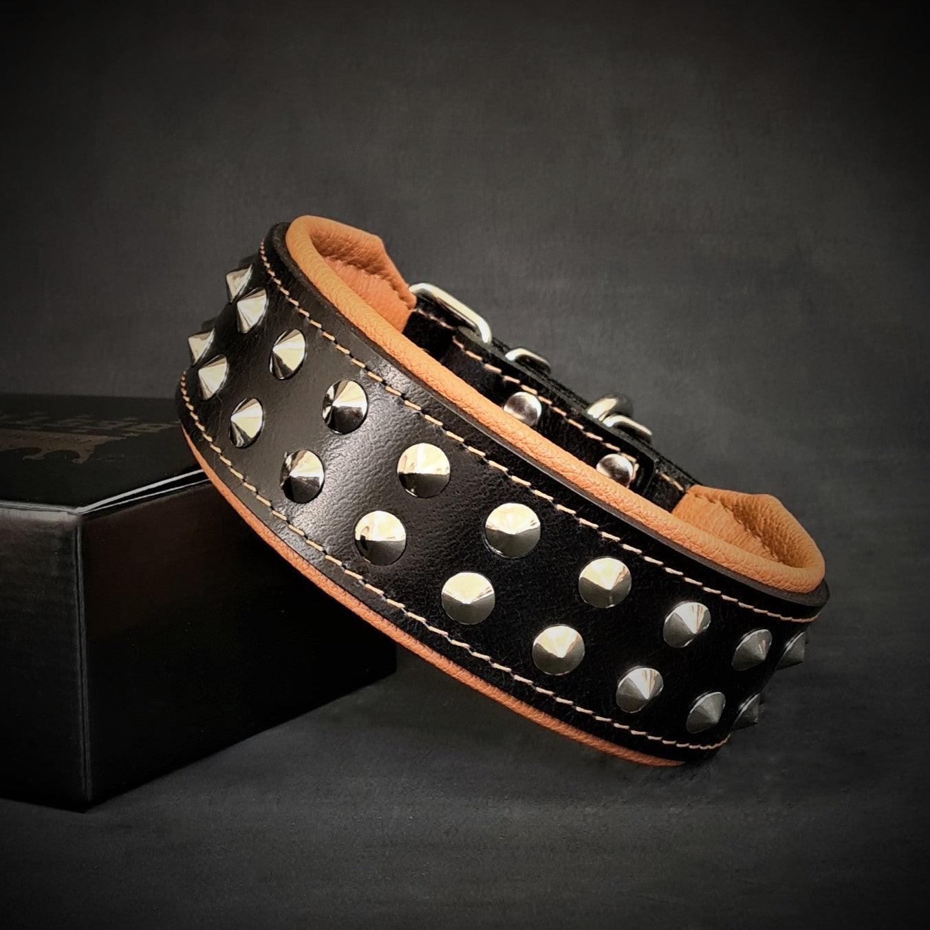 "Boston" collar by Bestia Dog Gear