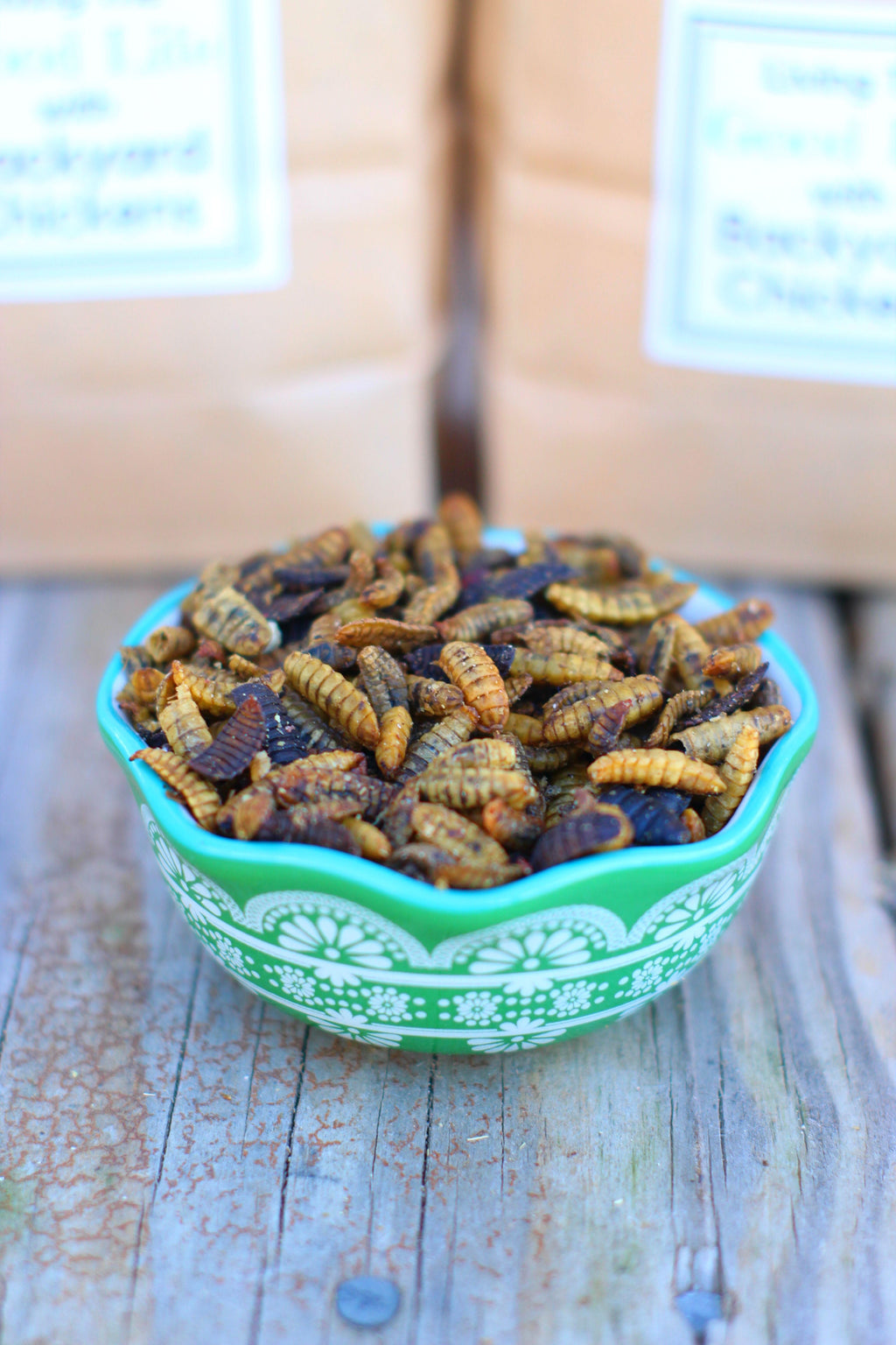 Black Soldier Fly Larvae (From NORTH AMERICA!!) -- LoveBugs For Hens (TM) by Dahlia Pets
