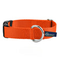 1″ Rust Nylon Dog Collar by 2 Hounds Design