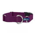 5/8″ and 1″ Burgundy Nylon Buckle Martingale Dog Collar by 2 Hounds Design