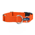 1″ Rust Nylon Buckle Martingale Dog Collar by 2 Hounds Design