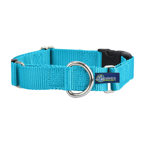 5/8″ and 1″ Turquoise Nylon Buckle Martingale Dog Collar by 2 Hounds Design