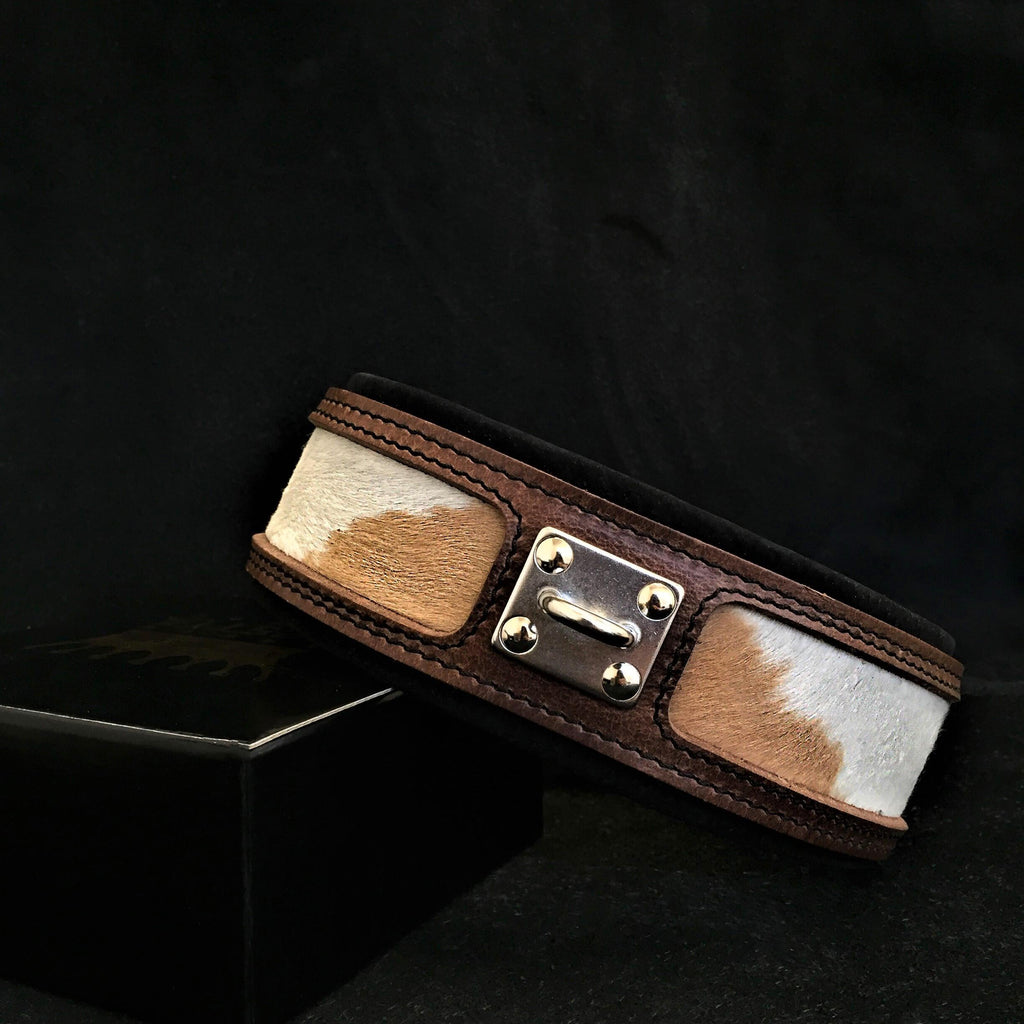 "Buffalo" collar by Bestia Dog Gear