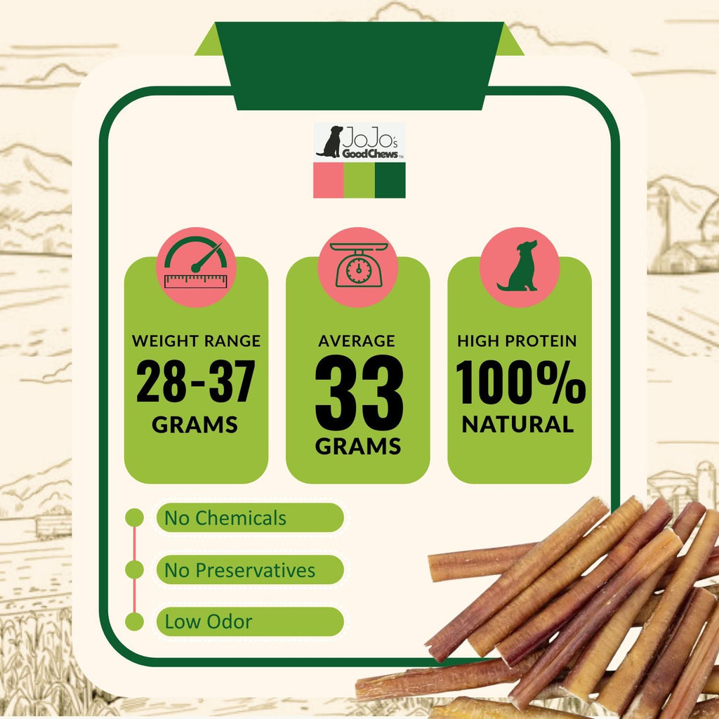 All-Natural Beef Bully Stick Dog Treats, High Protein & Long-Lasting Chews – 6-Inch Thick (25/case) by American Pet Supplies