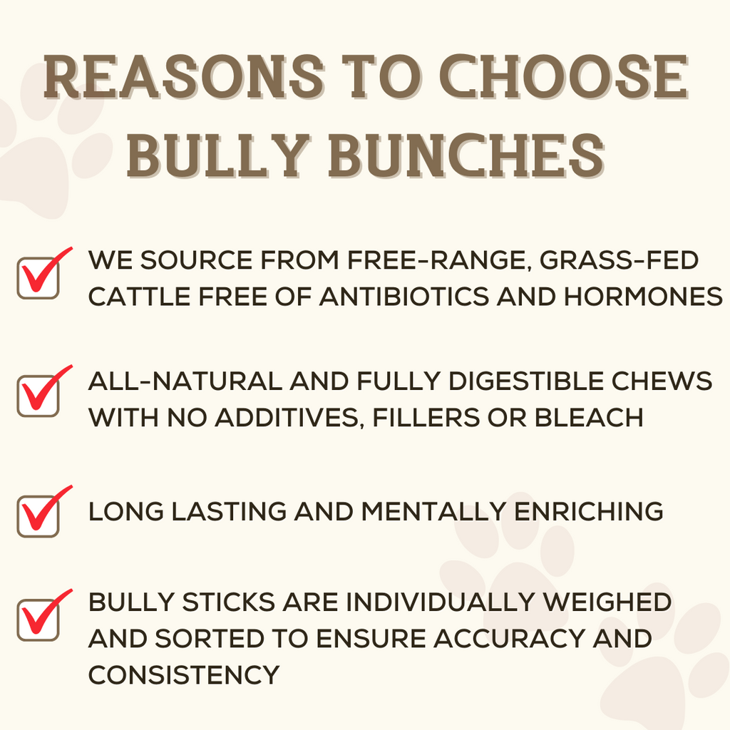 10-12 Inch Champion Chew by Bully Bunches