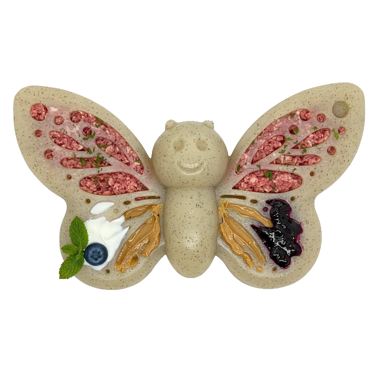 Butterfly Nylon Chew & Enrichment Toy | 2-in-1 for Aggressive Chewers | SodaPup by SodaPup/True Dogs, LLC