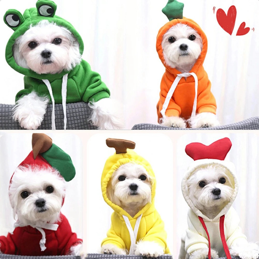 Cute Colorful Pet Clothing by Love My Pet
